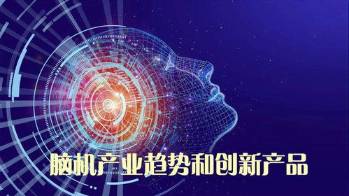 腦機接口 產業現狀、未來趨勢與創新產品探索——以腦虎科技為例
